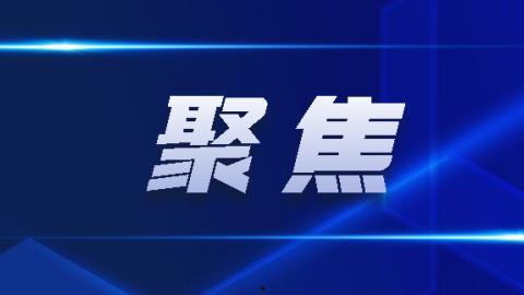 最新回响爆料新闻报道,揭秘事件背后惊人真相