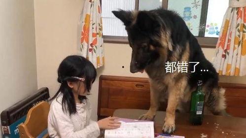 寂然爆料狗老师视频,揭秘电竞圈幕后真相