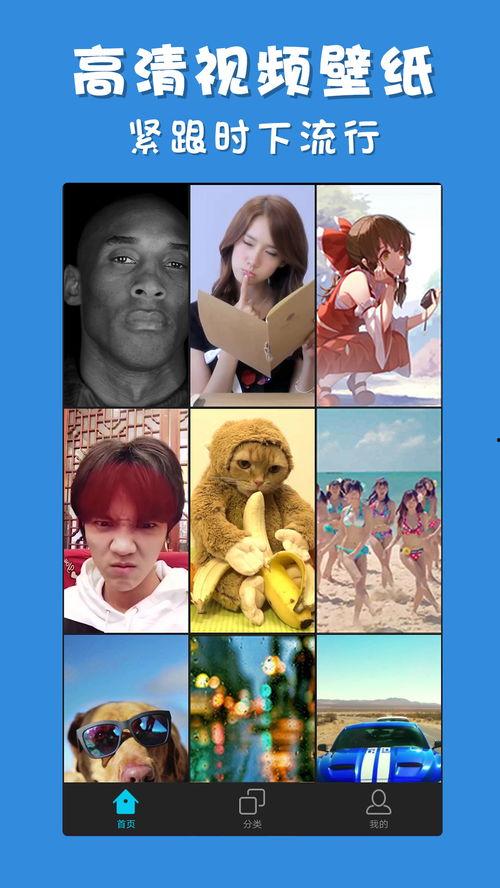 彩蛋爆料视频下载软件大全,下载软件大全一览无遗