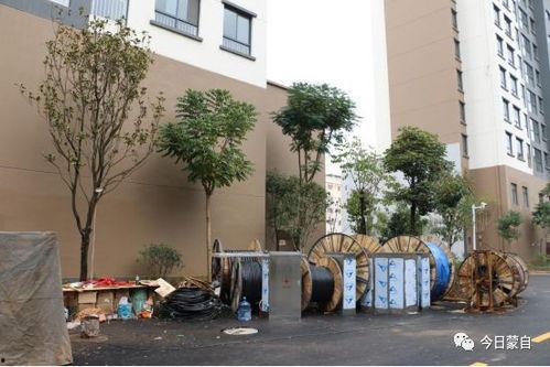 苏州维也纳小区最新爆料,揭秘神秘事件背后的真相