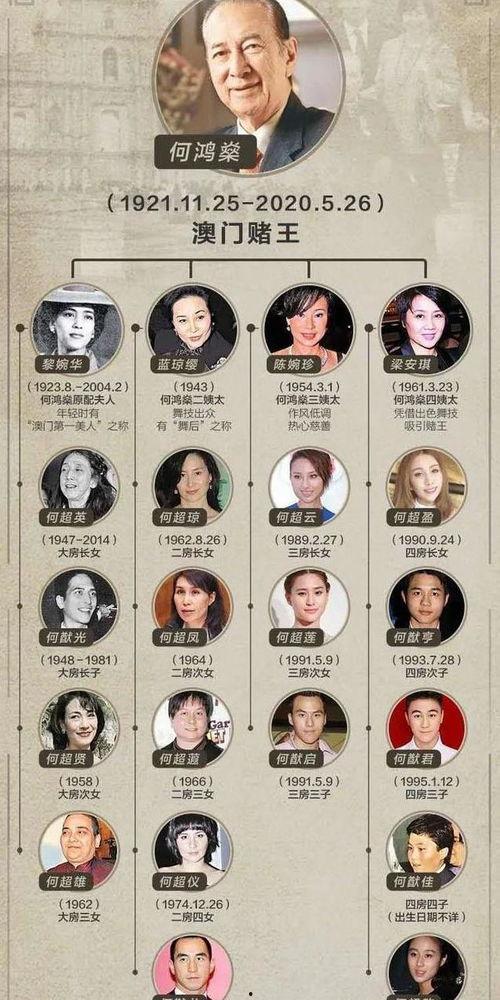 爆料王家的视频大全